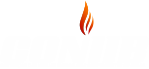 Logo CONIIB